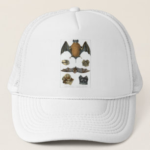 Casquette 19e impression de chaume C.