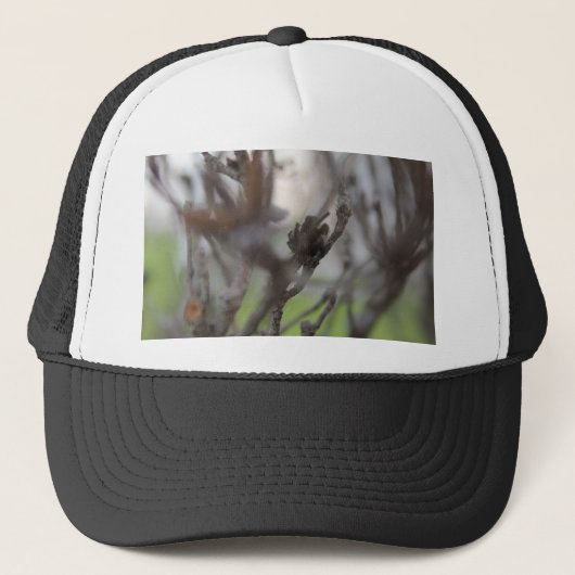 Casquette 30 avril Sticks d'été #2 (Devant)