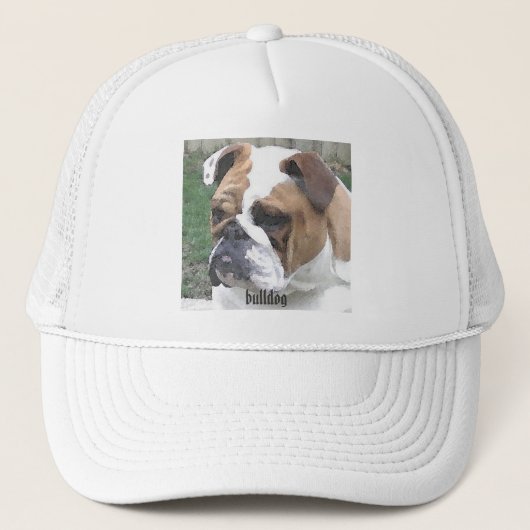 Casquette 3-29-06 009, bouledogue (Devant)