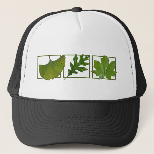CASQUETTE 3 FEUILLES (Devant)