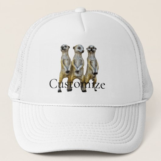 Casquette 3 Meerkats debats Thunder_Cove (Devant)