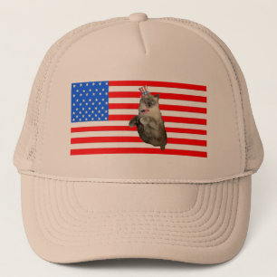 Casquette 4 juillet chat