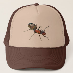 Casquette 4mi
