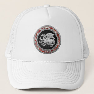 Casquette [700] Dragon islandais, Landvæ ttir [Argent]