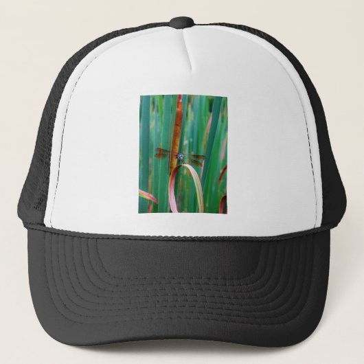 Casquette A teal Eyed Dragonfly with cattails (Devant)