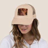 Casquette abaissé de classique de chien (En situation)