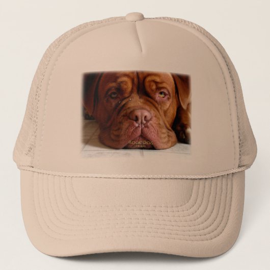 Casquette abaissé de classique de chien (Devant)