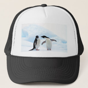 Casquette Adelie Penguins