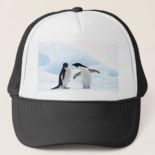 Casquette Adelie Penguins (Devant)