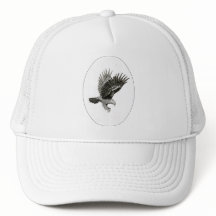 Aigle à la lumière