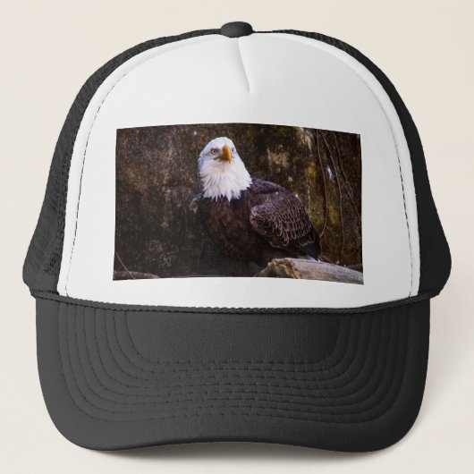 Casquette Aigle de Bald (Devant)