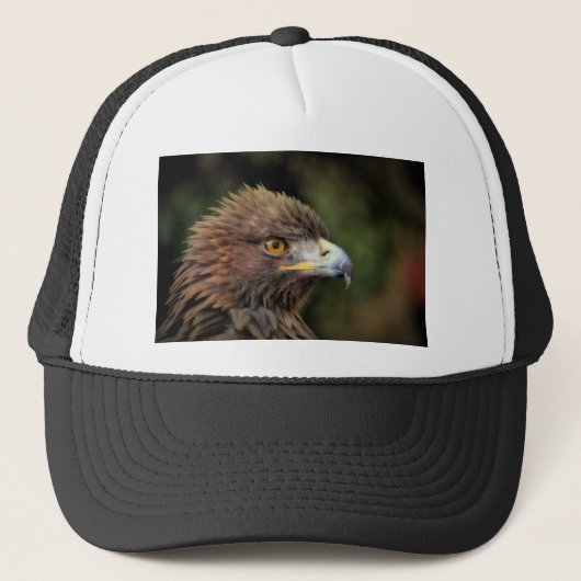 Casquette aigle royal (Devant)