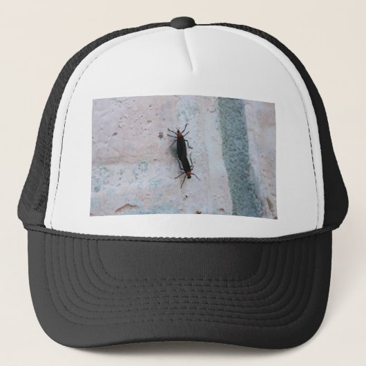 Casquette Aimer les bogues (Devant)