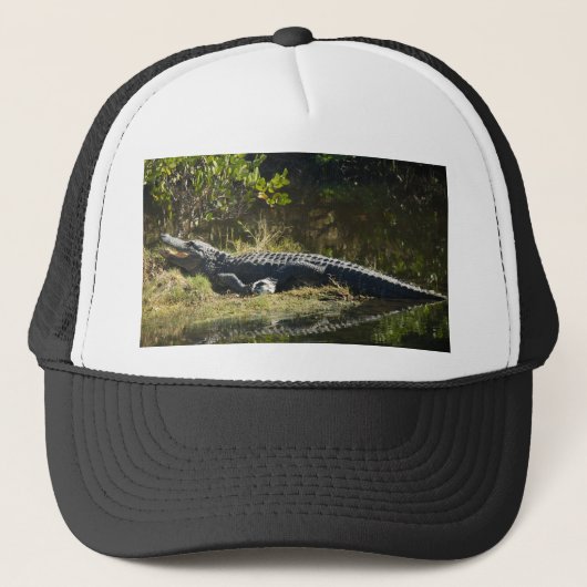Casquette Alligator Américain se reposant le long d'une zone (Devant)