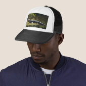 Casquette Alligator Américain se reposant le long d'une zone (En situation)