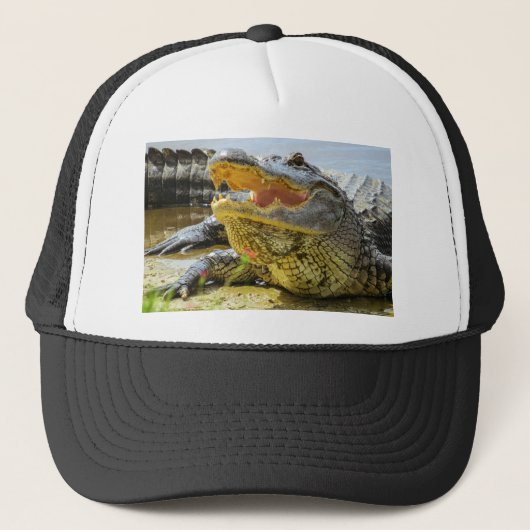 Casquette Alligator. Face à face (Devant)