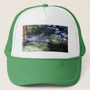Casquette Alligator ! ! Zoo Animaux design