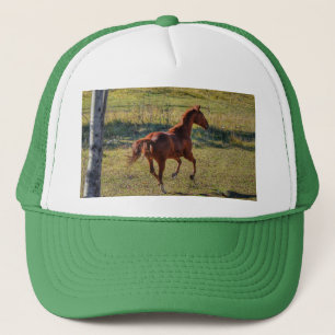 Casquette Amateurs de chevaux Equine Ranch Horse Photo