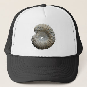 Casquette ammonite