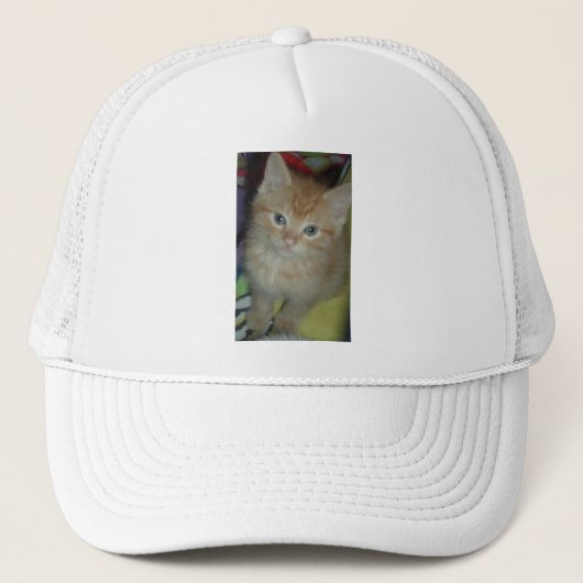Casquette Amour de tabby (Devant)