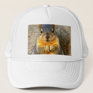 Casquette Amour des écureuils_