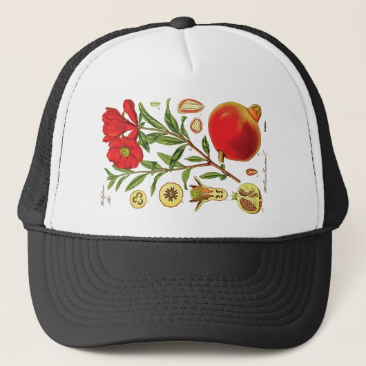 Casquette Ancienne illustration de grenade (Devant)