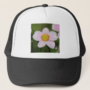 Casquette Anémon rose