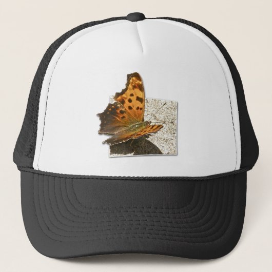 Casquette Angle Wing Comma Butterfly Series (Devant)