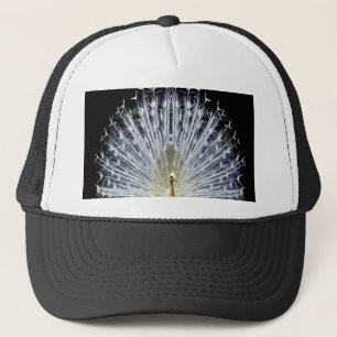 Casquette Animalia blanc de Pavo de paon