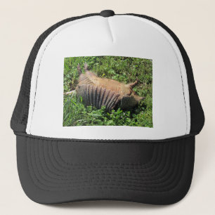 Casquette Animaux écrasés de tatou - Dasypodidae