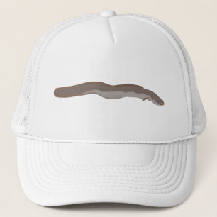 Casquette Anneau à nageoires courtes du sud