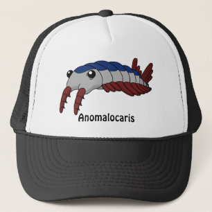 Casquette Anomalocaris imprimés