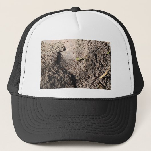 Casquette Ants Go Marching (Devant)