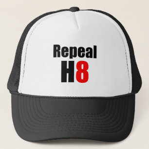 CASQUETTE APPUI VERTICAL 8/ABROGATION H8 D'ABROGATION