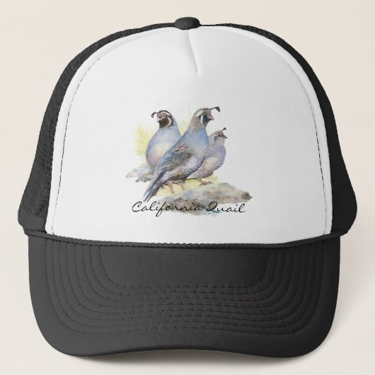 Casquette Aquarelle originale California Quail. Oiseau (Devant)