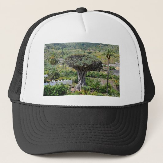 Casquette Arbre dragon à Tenerife (Devant)