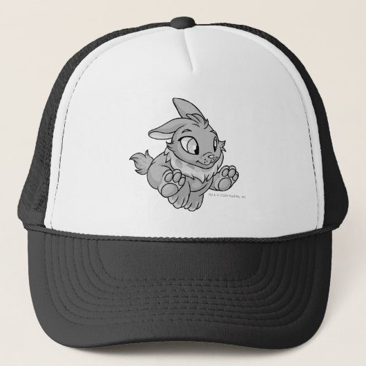 Casquette Argent de Cybunny (Devant)