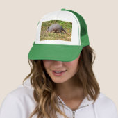 Casquette Armadillo (En situation)