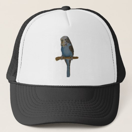 Casquette Art bleu de perruche (Devant)