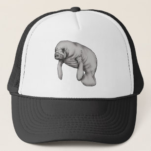 Casquette art manatee