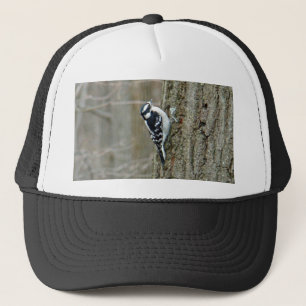 Casquette Articles duveteux de pivert