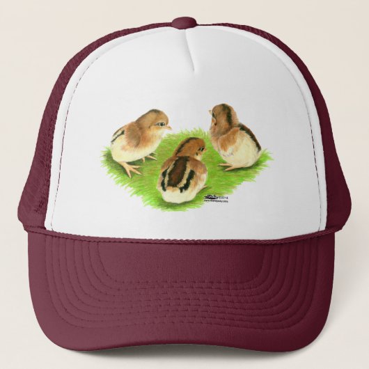 Casquette Aseel Black Red Chicks (Devant)