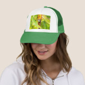 Casquette attachement calme (En situation)