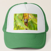 Casquette attachement calme (Devant)