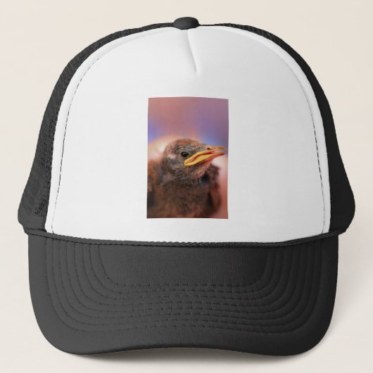 Casquette Baby Bird (Devant)