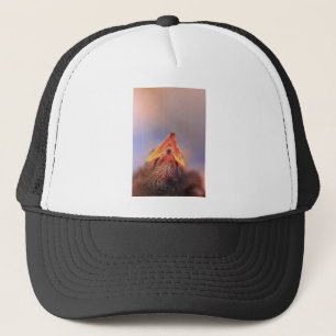 Casquette Baby Bird 2
