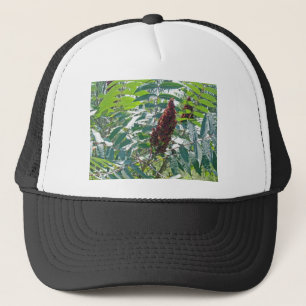 Casquette Baies de sumac glabre Articles correspondants