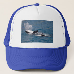 Casquette Baleines tueuses à l'arrière