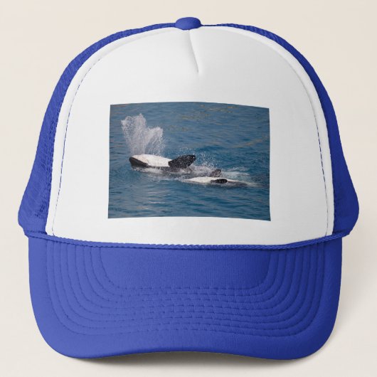 Casquette Baleines tueuses à l'arrière (Devant)