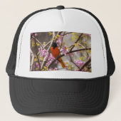 Casquette Baltimore Oriole (Devant)